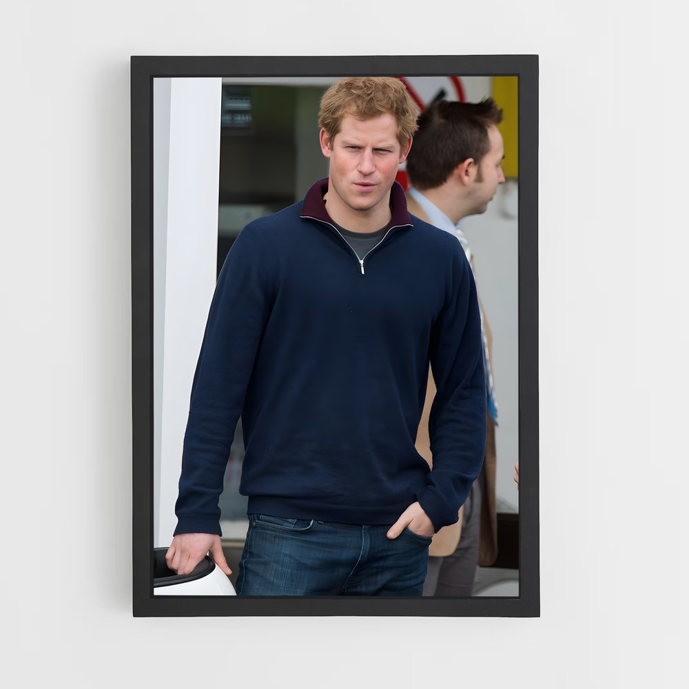 ap-prince harry-18 cadre Noir
