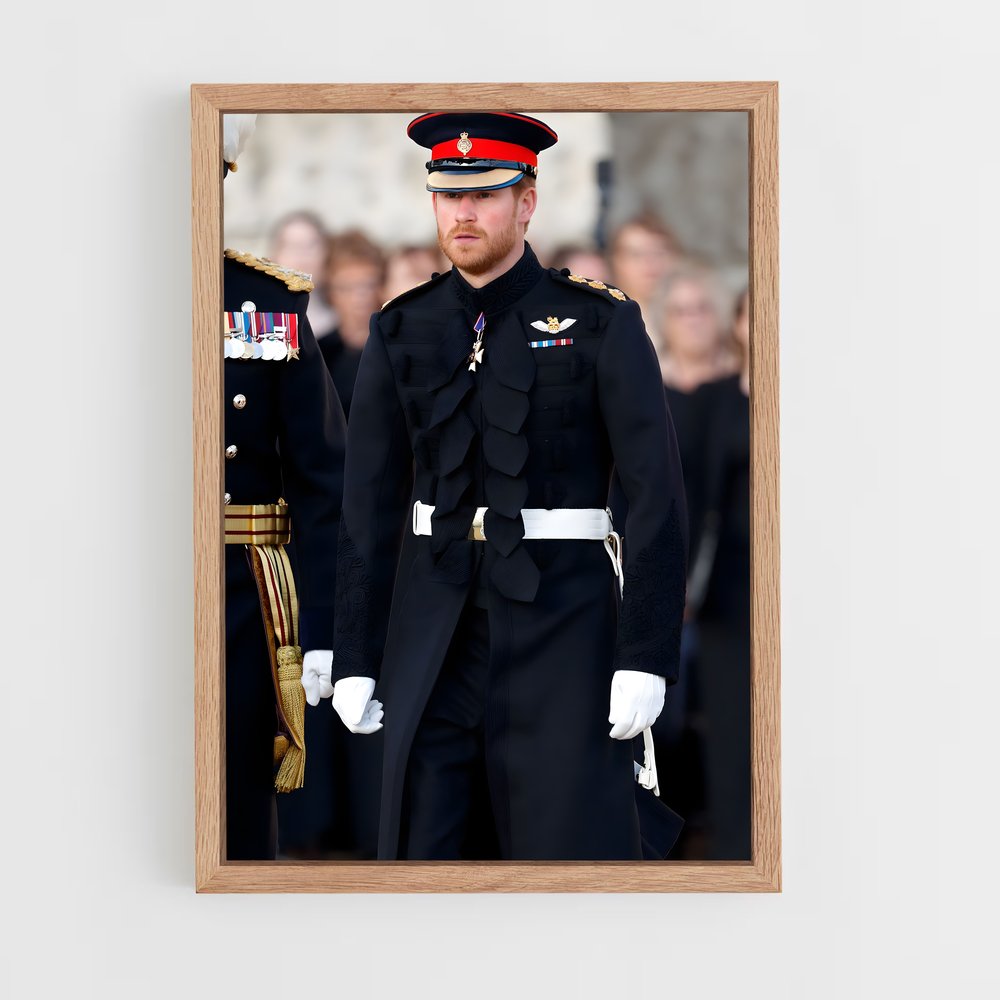 ap-prince harry-2 cadre Bois clair