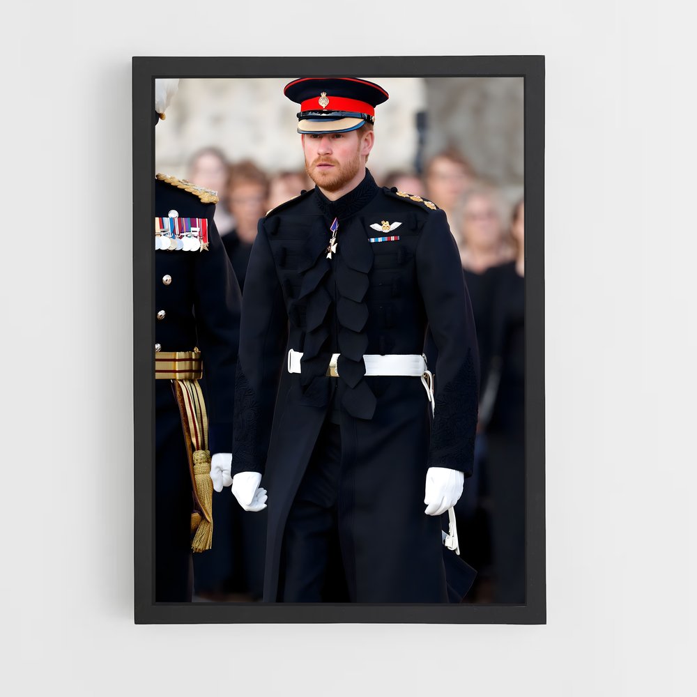 ap-prince harry-2 cadre Noir