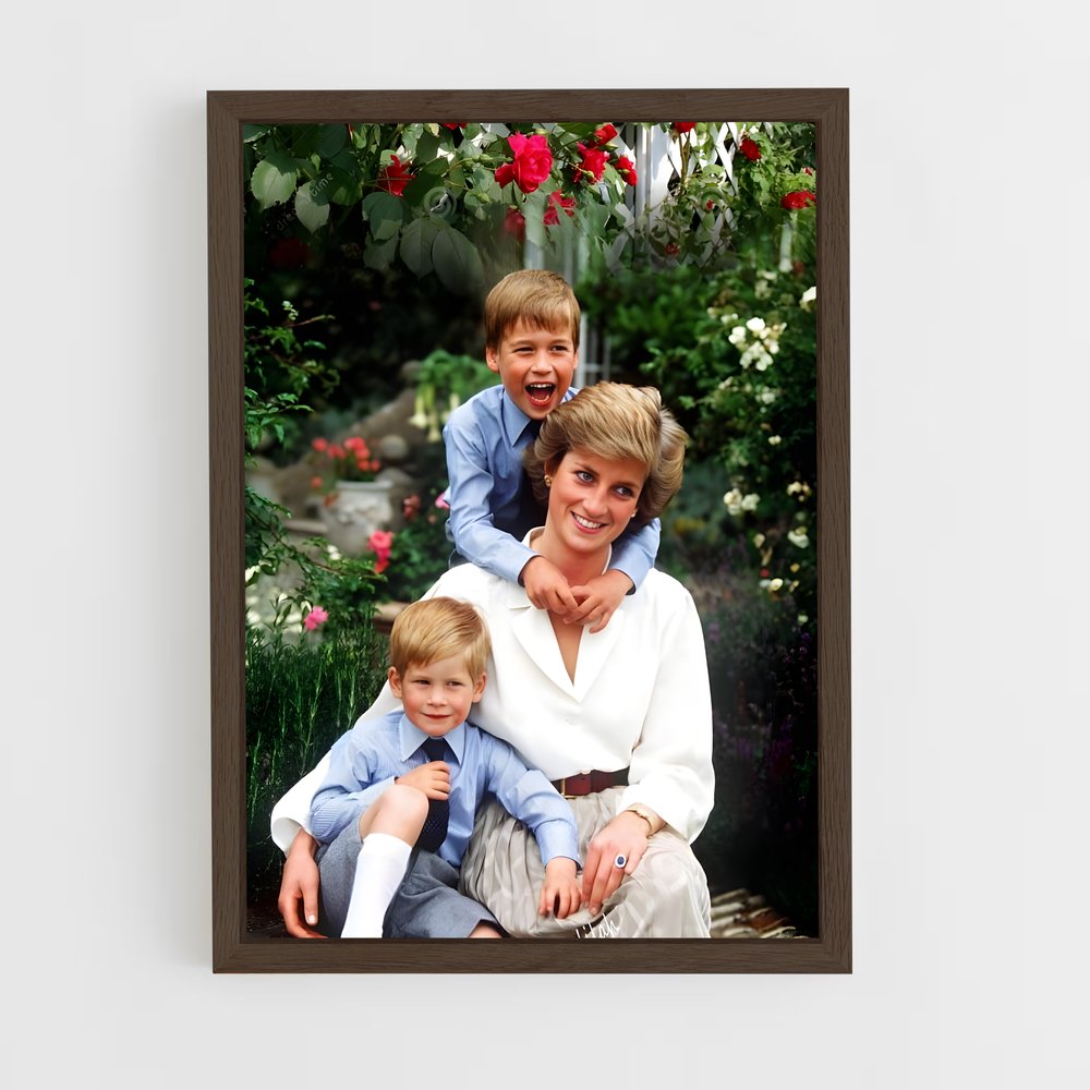 ap-princess diana-13 cadre Bois foncé