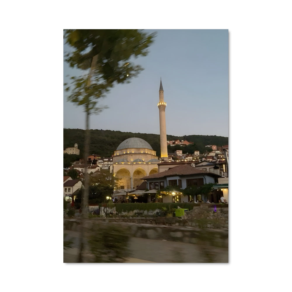 Poster L'Arbre de Prizren