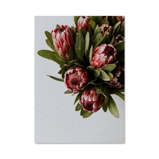Poster Bouquet de Proteas