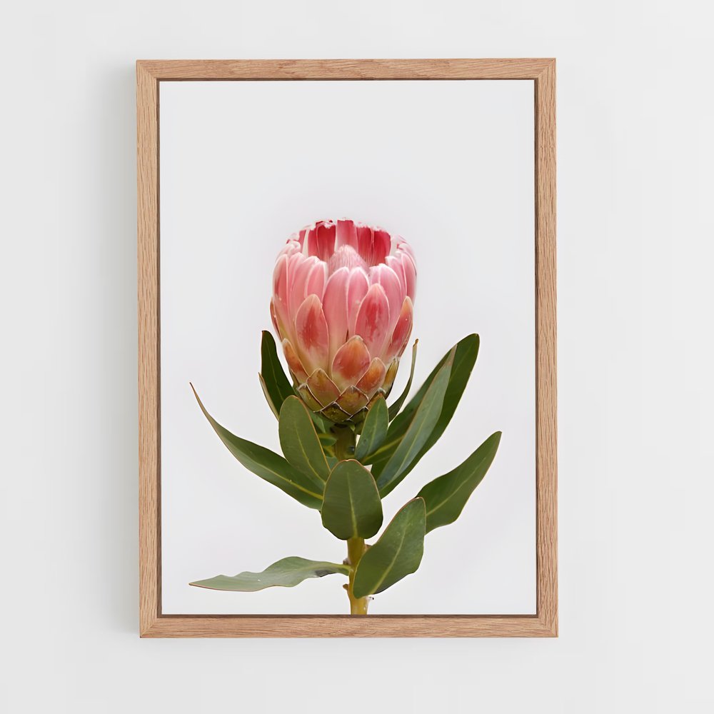 ap-protea-8 cadre Bois clair