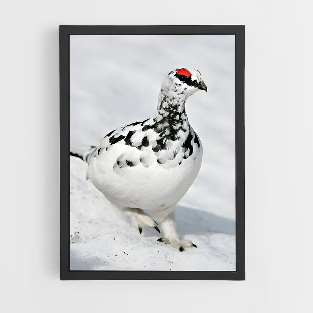 ap-ptarmigan-1 cadre Noir