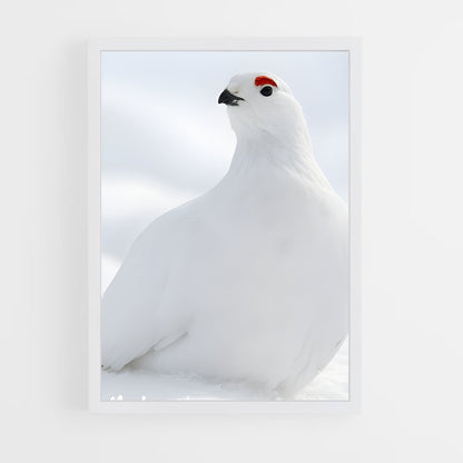 ap-ptarmigan-2 cadre Blanc