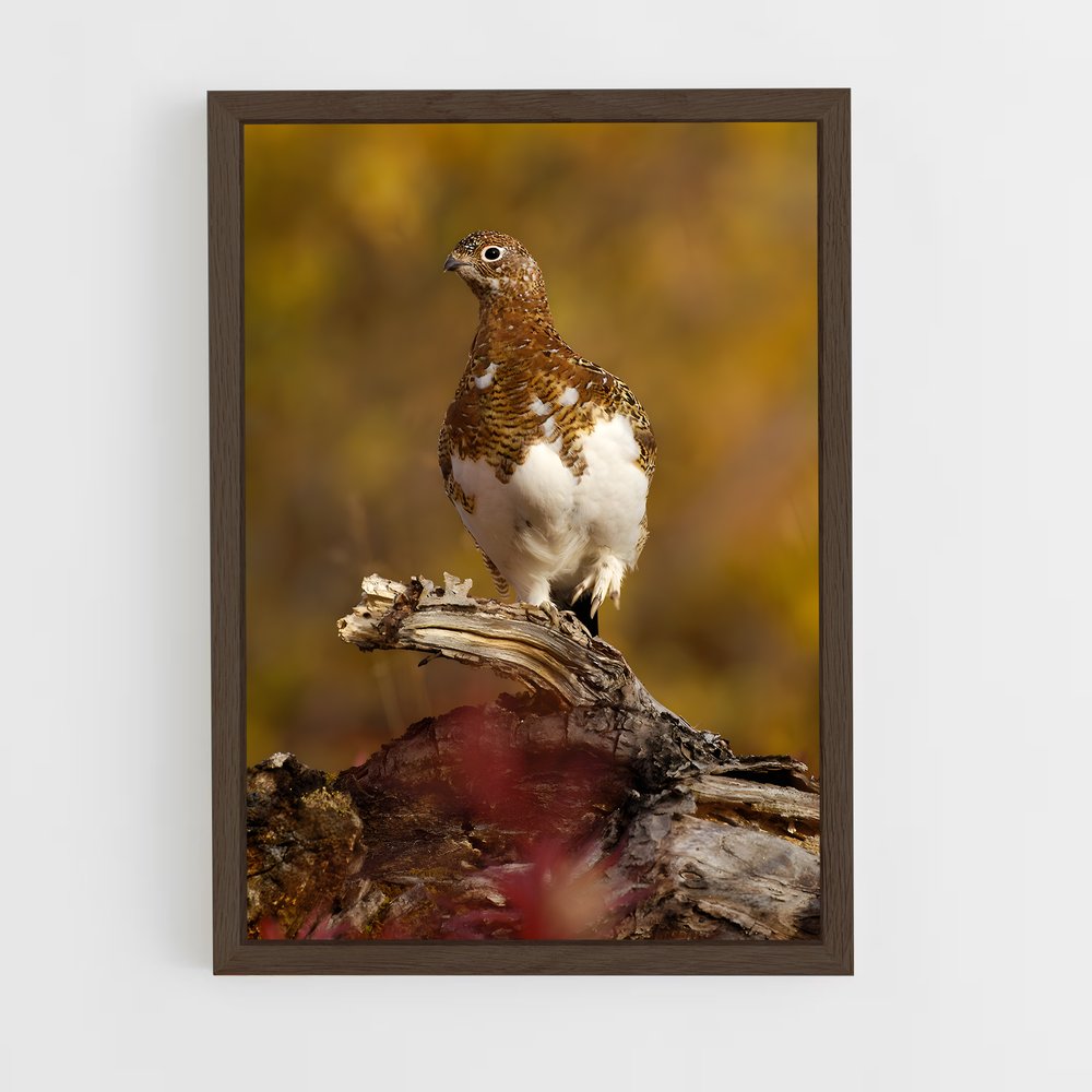ap-ptarmigan-3 cadre Bois foncé