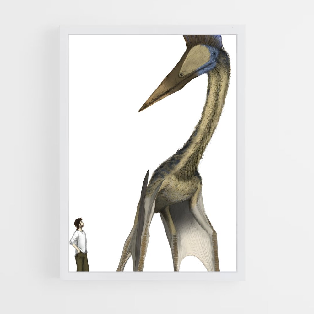 ap-pterodactyl-1 cadre Blanc