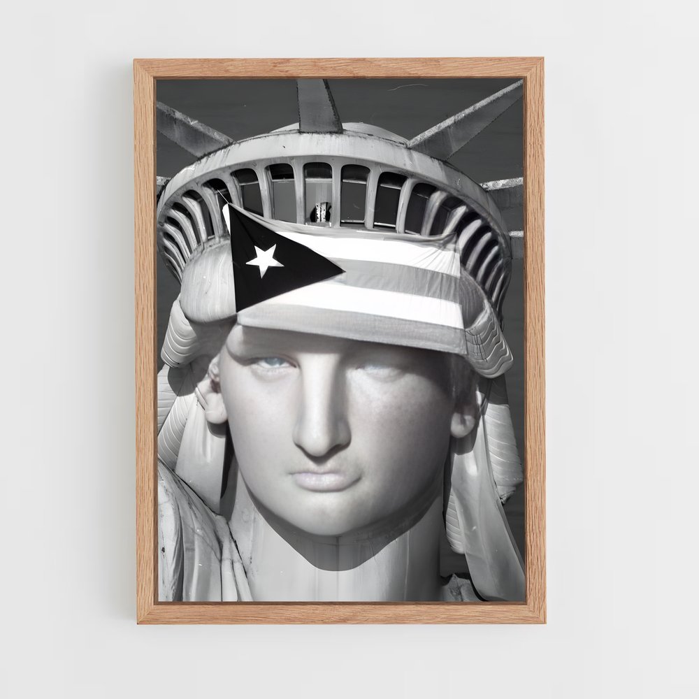 ap-puerto rico flag-1 cadre Bois clair