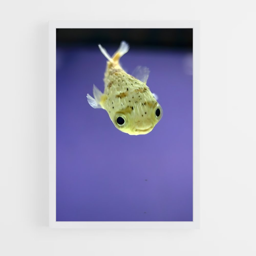ap-pufferfish-2 cadre Blanc