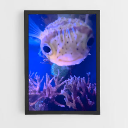 ap-pufferfish-3 cadre Noir