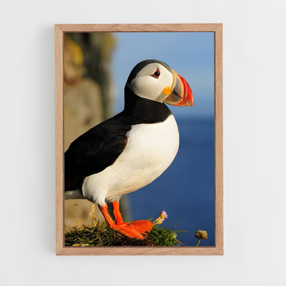 ap-puffin-3 cadre Bois clair