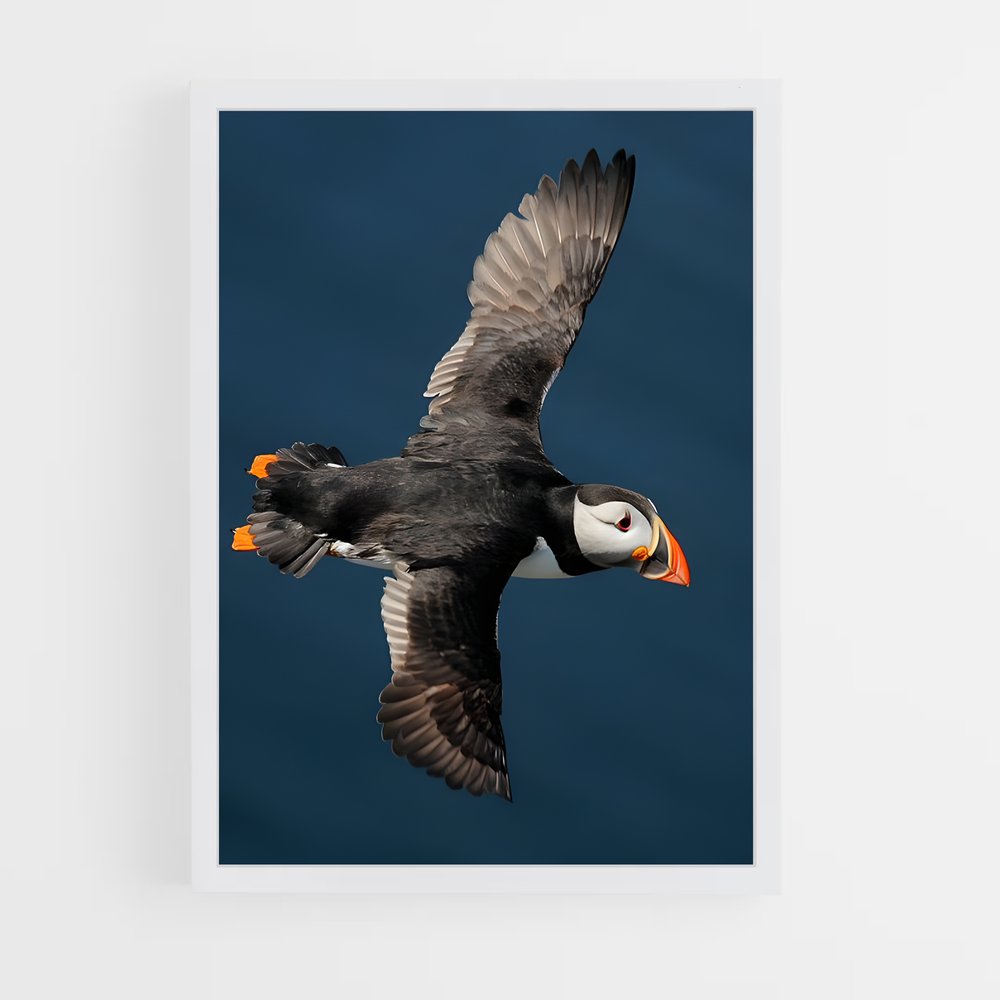 ap-puffin-8 cadre Blanc