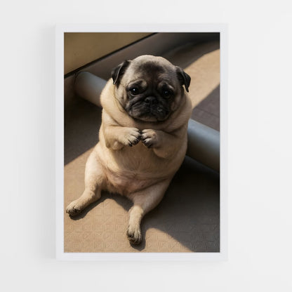 ap-pug-1 cadre Blanc