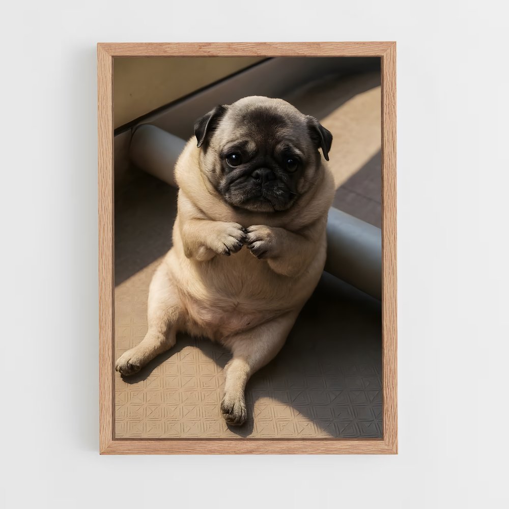 ap-pug-1 cadre Bois clair