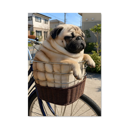 Poster Pug à Vélo