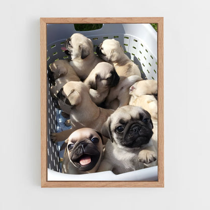 ap-pug-3 cadre Bois clair