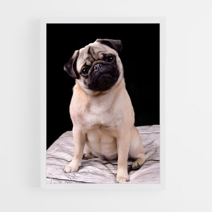 ap-pug-4 cadre Blanc