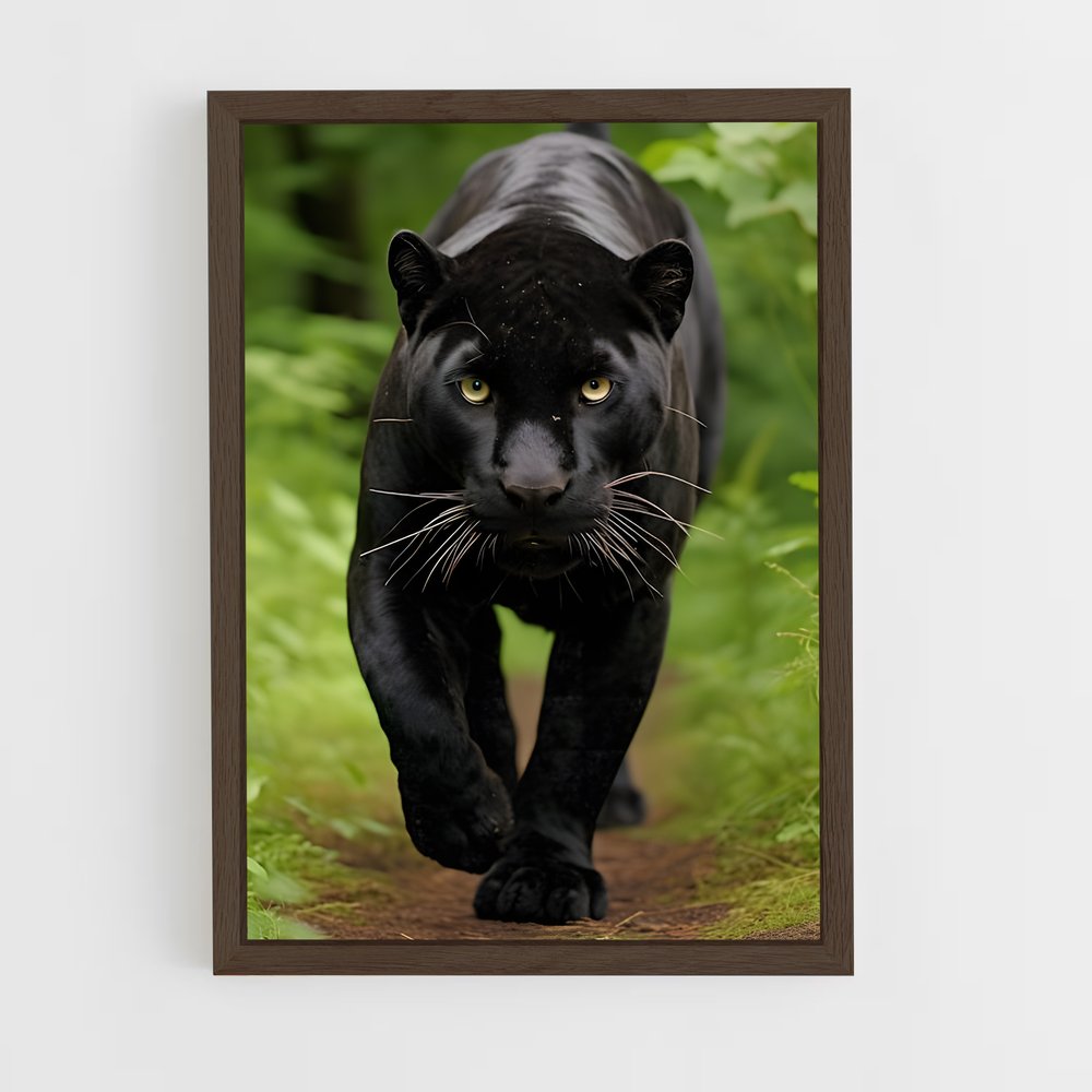 ap-puma-21 cadre Bois foncé