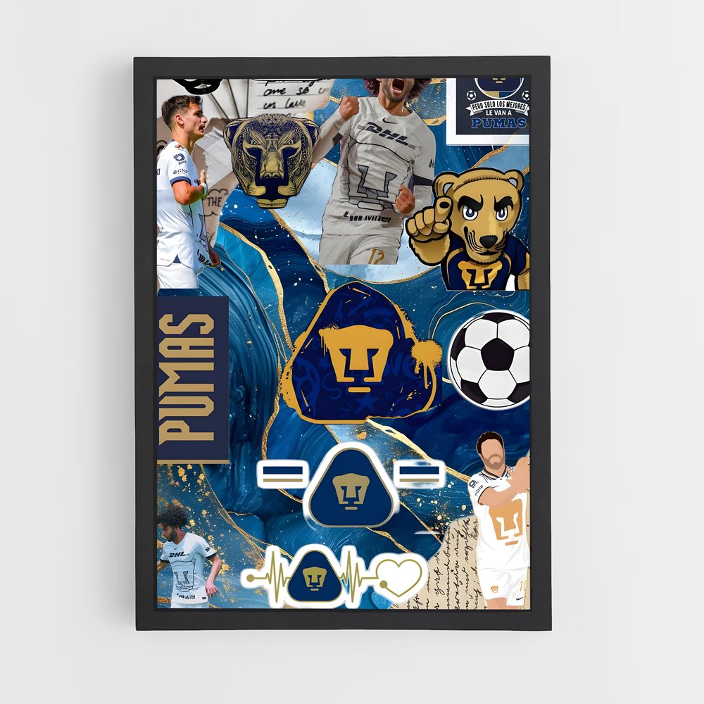 ap-pumas unam-7 cadre Noir