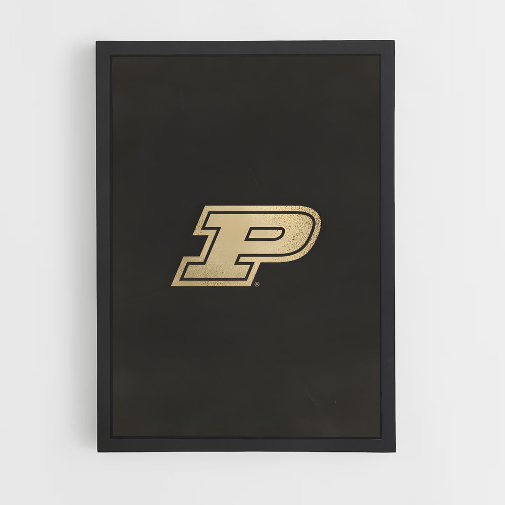 ap-purdue boilermakers-5 cadre Noir