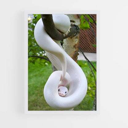 ap-python-2 cadre Blanc