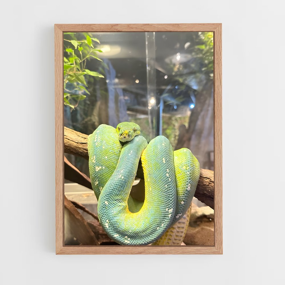 ap-python-4 cadre Bois clair