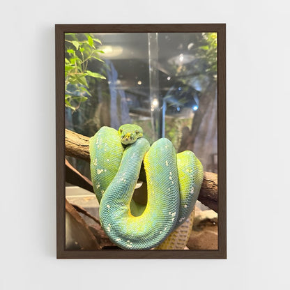 ap-python-4 cadre Bois foncé