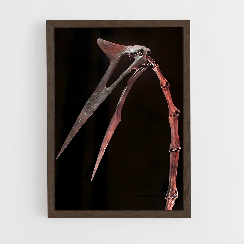 ap-quetzalcoatlus-5 cadre Bois foncé