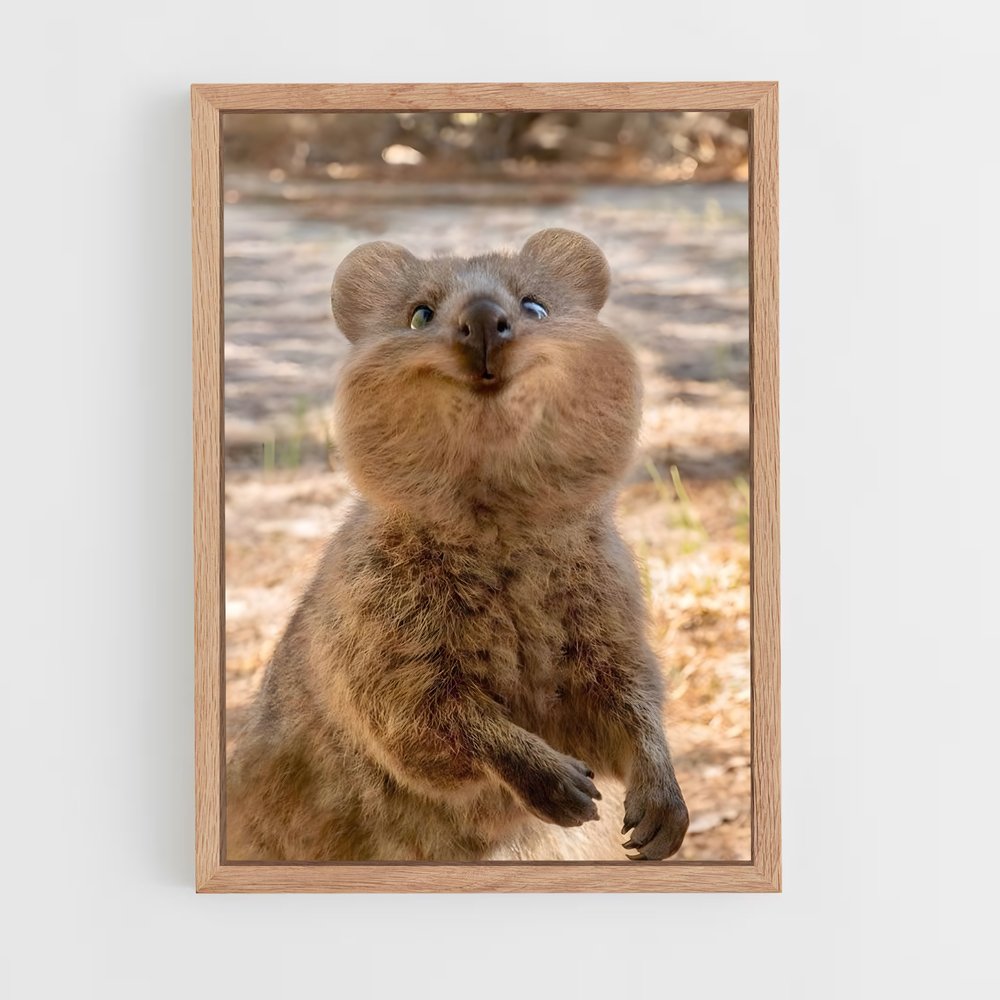 ap-quokka-1 cadre Bois clair