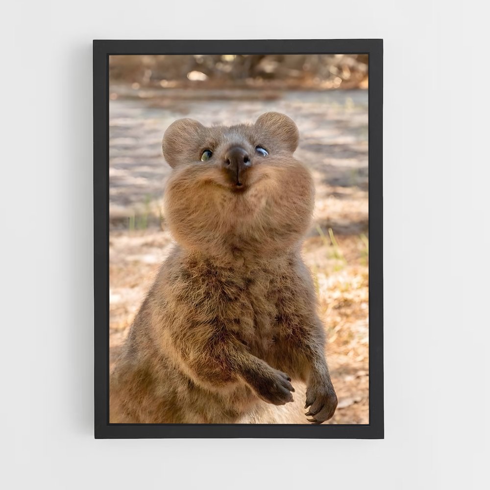 ap-quokka-1 cadre Noir