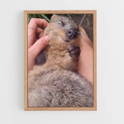 ap-quokka-2 cadre Bois clair