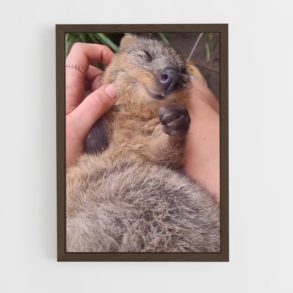 ap-quokka-2 cadre Bois foncé
