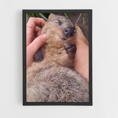 ap-quokka-2 cadre Noir