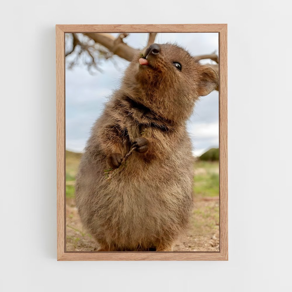 ap-quokka-3 cadre Bois clair