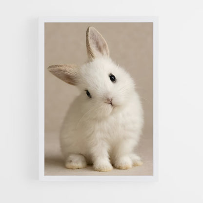ap-rabbit-2 cadre Blanc