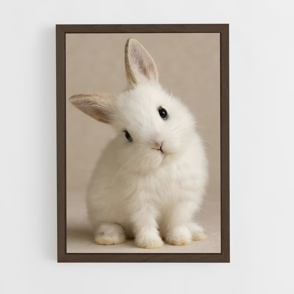 ap-rabbit-2 cadre Bois foncé
