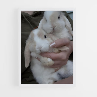 ap-rabbit-3 cadre Blanc