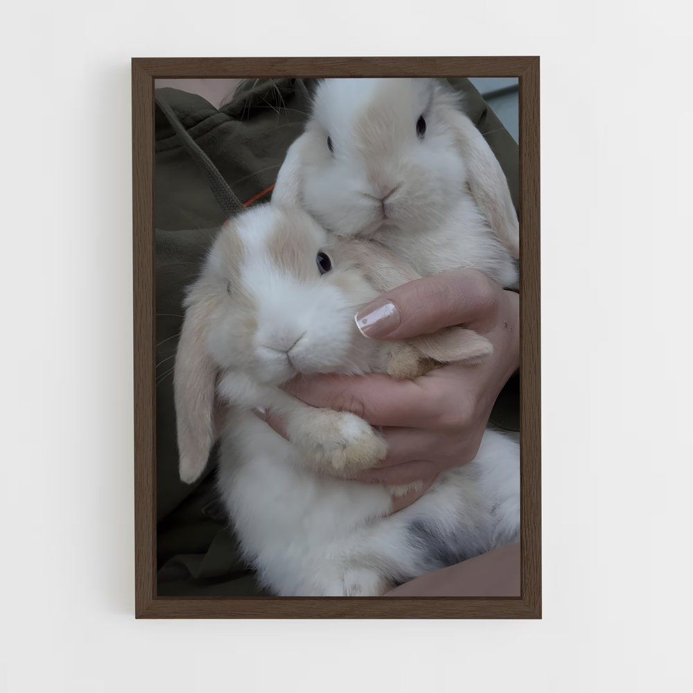 ap-rabbit-3 cadre Bois foncé