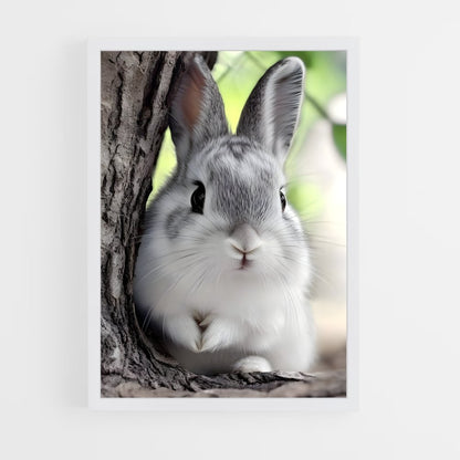 ap-rabbit-5 cadre Blanc