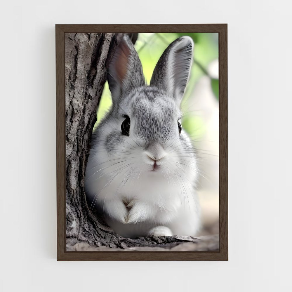 ap-rabbit-5 cadre Bois foncé