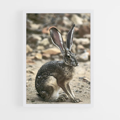 ap-rabbit-7 cadre Blanc
