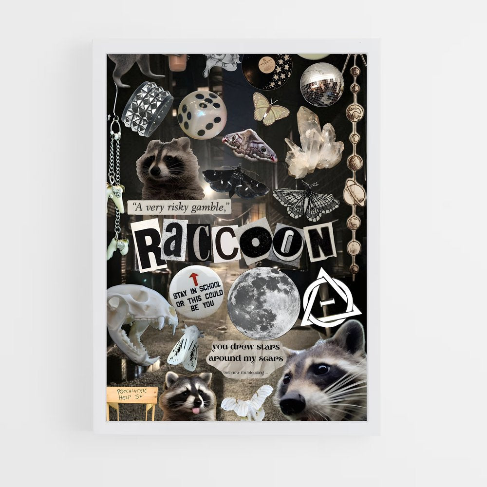 ap-raccoon-2 cadre Blanc