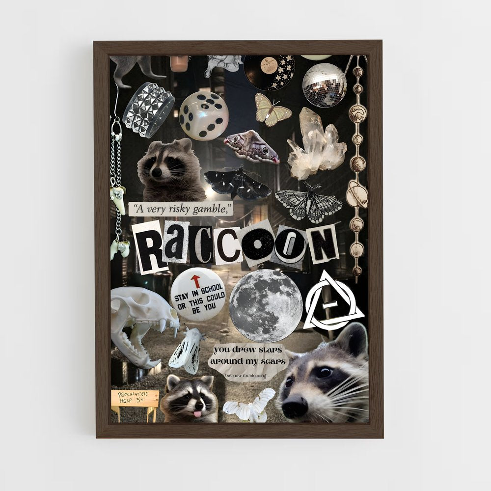 ap-raccoon-2 cadre Bois foncé