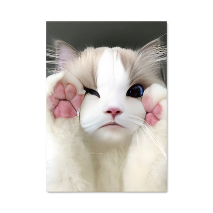 Poster Ragdoll Enchanté
