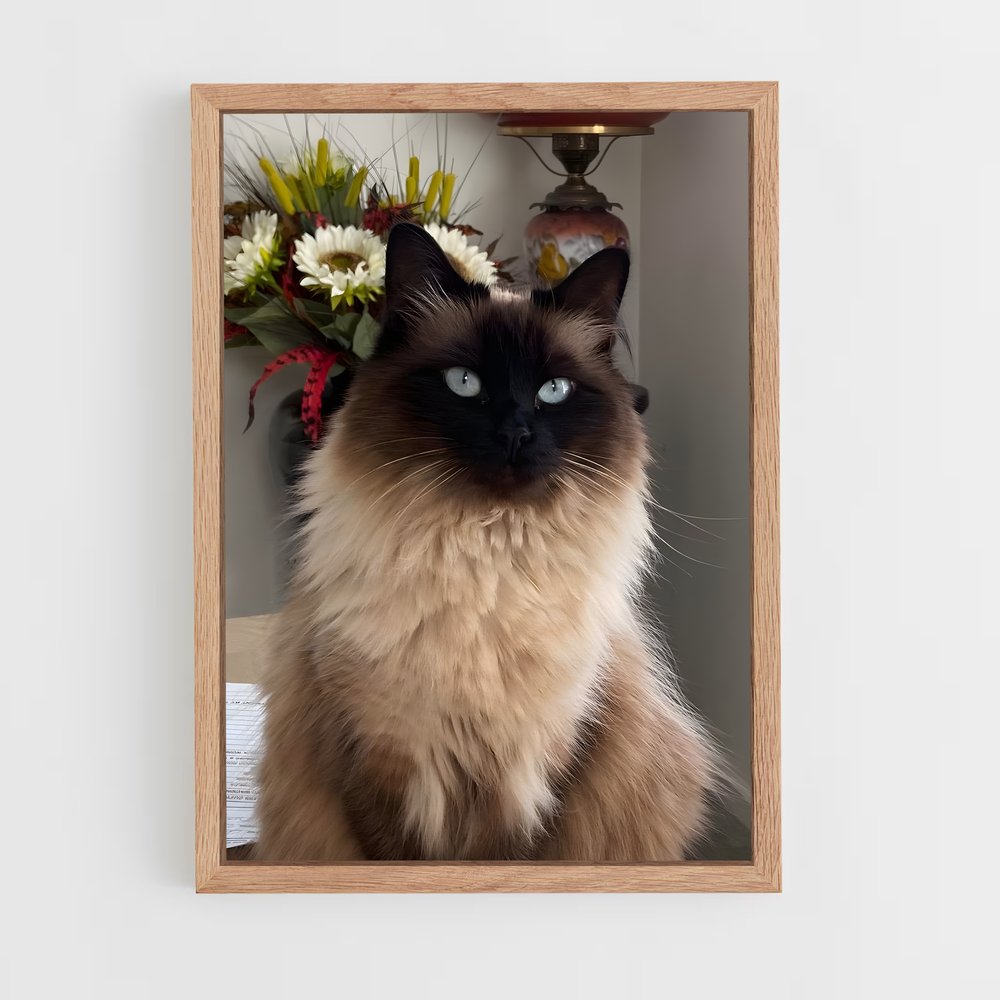 ap-ragdoll-4 cadre Bois clair
