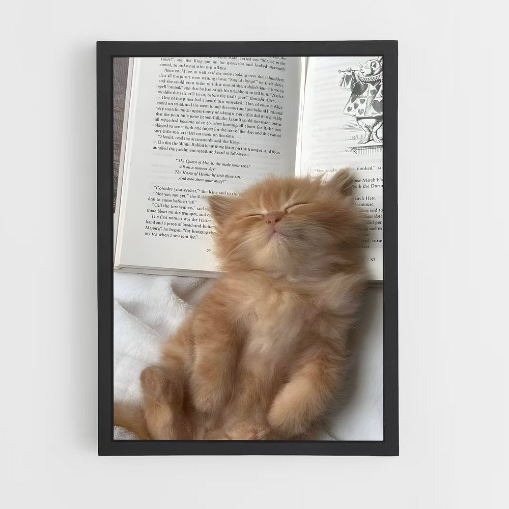 ap-ragdoll-5 cadre Noir