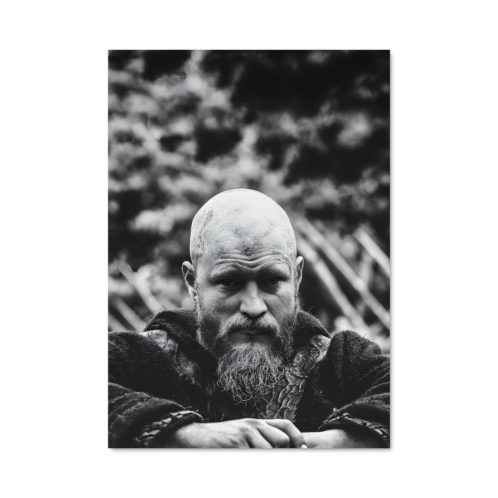 Poster L'Héritier Viking