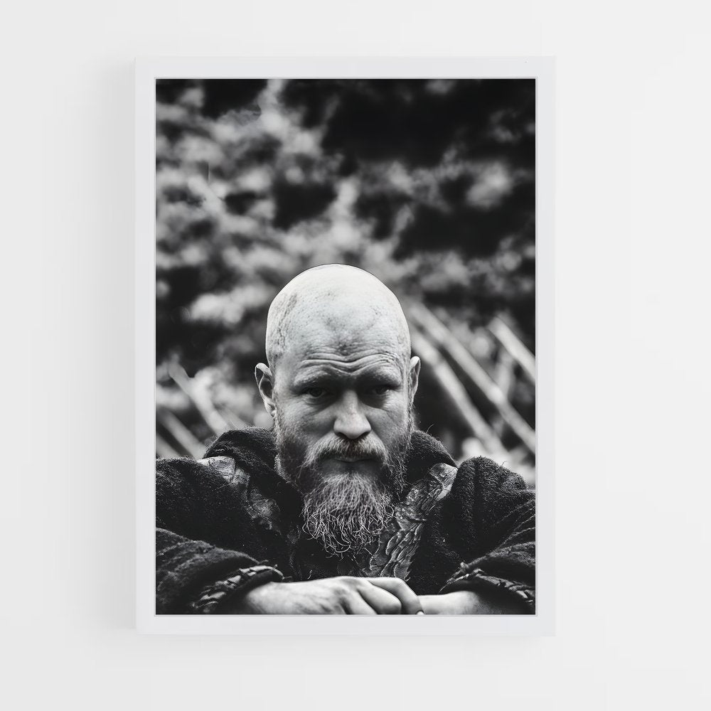 ap-ragnar lothbrok-8 cadre Blanc