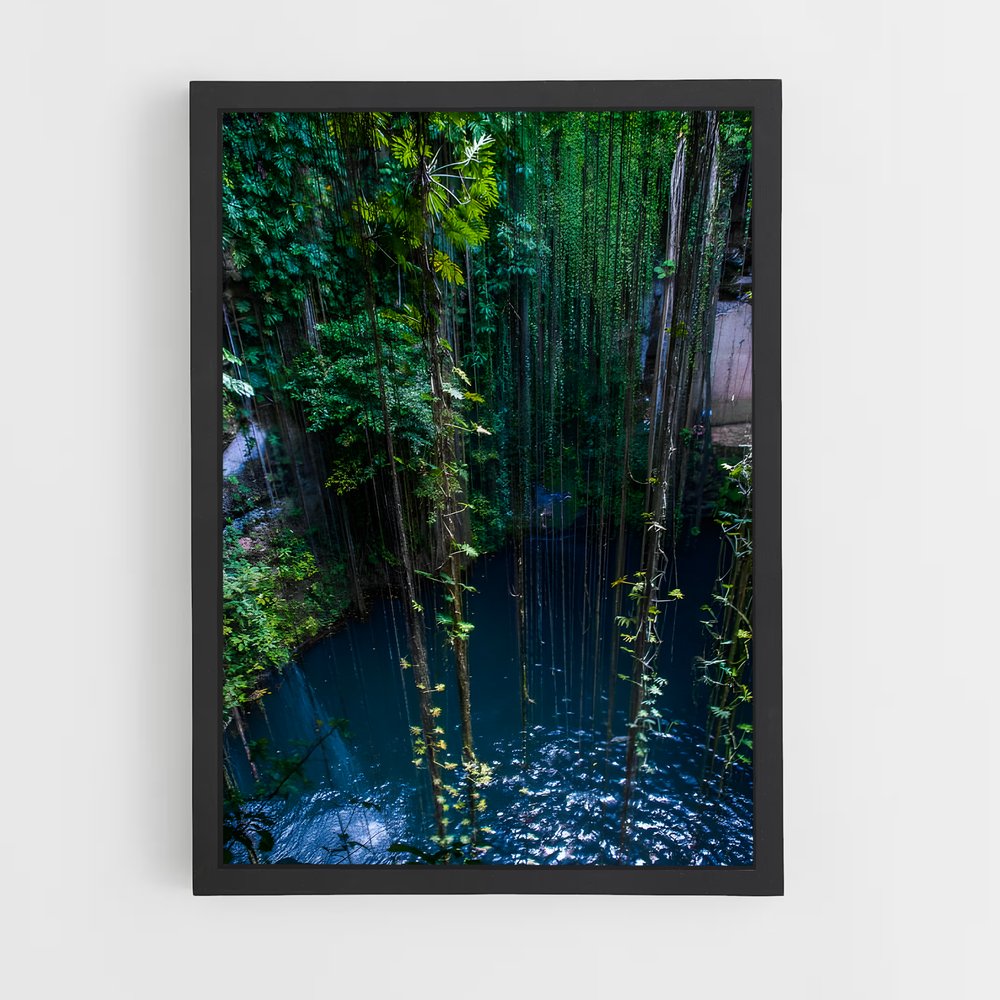 ap-rainforest-1 cadre Noir