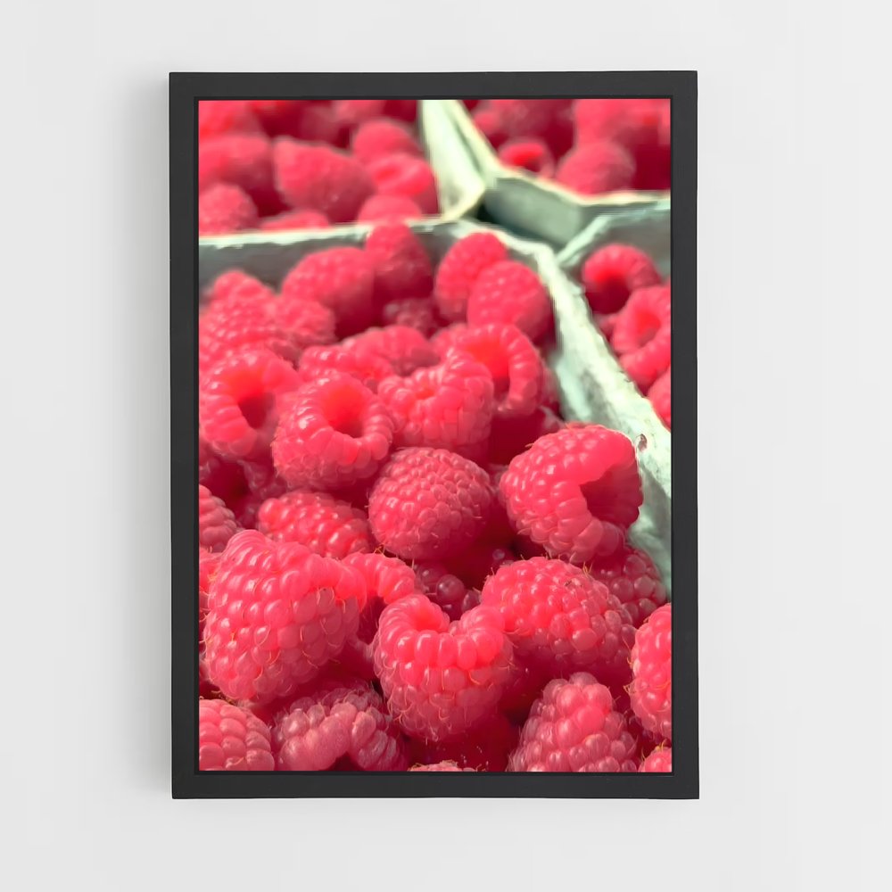 ap-raspberry-4 cadre Noir